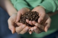 Coffee child labour-GettyImages-TAGSTOCK1