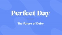perfect-day-future