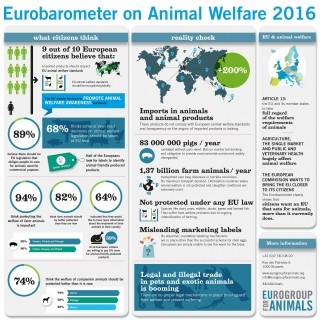 Eurobarometer 2016 Infography - Eurogroup for Animals