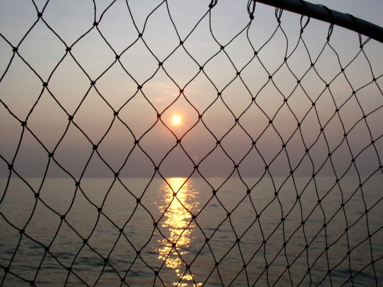 The fishing net