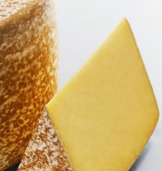 E.coli contaminates cheese