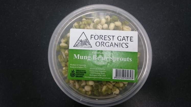 Salmonella in Mung Bean Sprouts