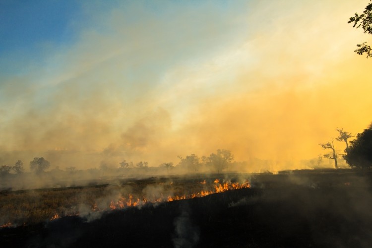 Report demands action on ‘growing problem of destructive fires’