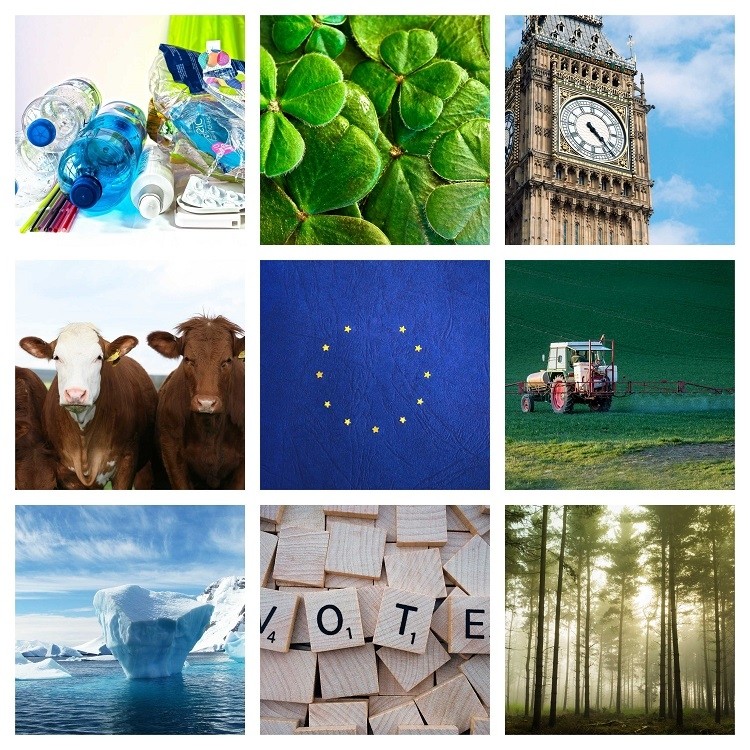 Brussels Bulletin: Brexit deal reached, UK instates environmental watchdog, and pesticides again under EU spotlight