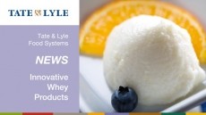 Innovative whey products - Tate & Lyle Food Systems