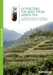 Extracting the best from green tea