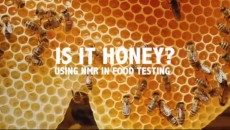 Is it Honey? Using NMR in Food Testing