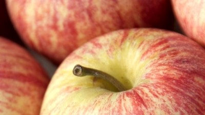 Polish push new apple types to UAE market