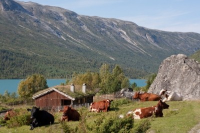 Farmers in Norway oppose carbon tax proposals