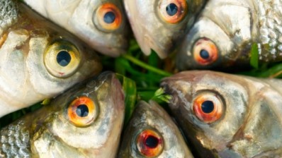 Conversion of fish waste to flavours could be commercially viable, say researchers