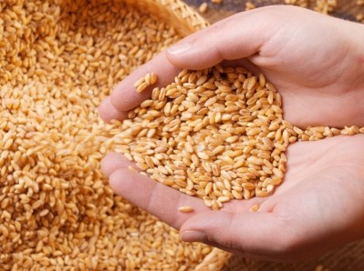 Reaction in Canada has been mixed, with the president of the Grain Growers of Canada welcoming the deal. But opposition politicians have criticised it, saying it undervalues CWB, and is a transfer of key Canadian assets into foreign ownership.