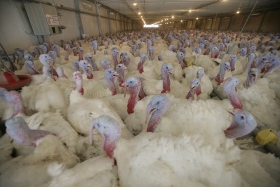 Rosselkhoznadzor lifts ban on US turkey meat
