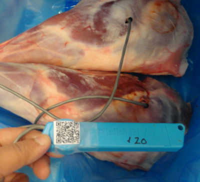 Sensor probe with QR label (Photo: Maitri Thakur, research scientist, Sintef Fishery & Aquaculture)