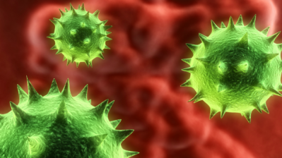 Norovirus is most prevalent in foodservice settings