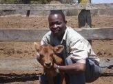 Ethopia's beef industry faces significant challenges