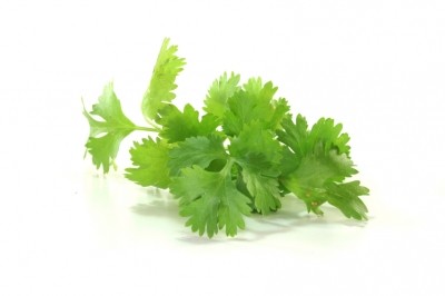 Fresh coriander from Southeast Asia was identified as the likely source. Picture: Istock/MarenWischnewski