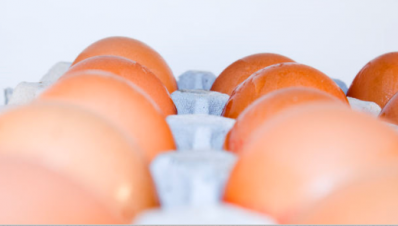 Cal-Maine Foods is one of the largest egg producers in the USA