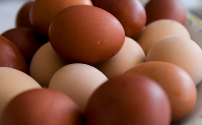 Salmonella Enteritidis infections came from shell eggs 
