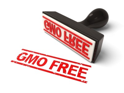 German crop production could go GMO free after Federal Minister of Food and Agriculture, Christian Schmidt, put forward a move to ban cultivation of genetically modified crops.