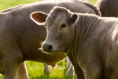 Government has launched a plan to eradicate bovine TB