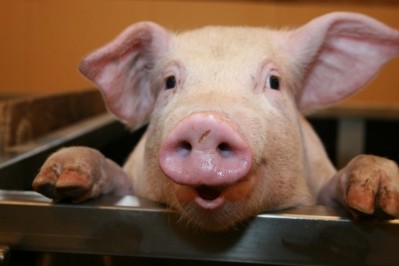 The impact of plummeting pork prices will be discussed