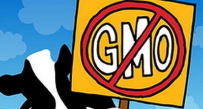 Health Focus International: “GMOs rank within the top five food concerns globally.