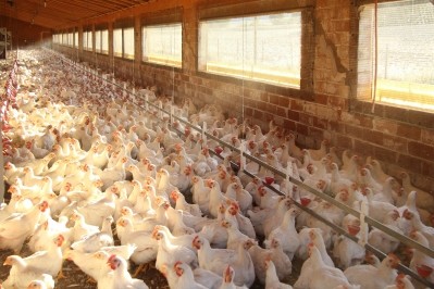 The US is retaliating against persistent South African barriers to chicken, and other, meat imports