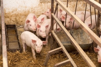 Brazil's pork production is expected to rise this year too