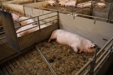 African swine fever is now present in nearly a third of Estonia