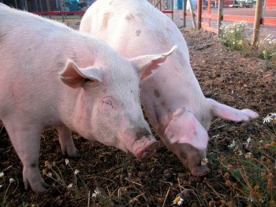 Pigmeat has dropped in Malta due to a reduction in slaughterings