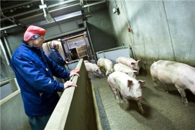Danish Crown said the 20 job cuts at its pork plant were 'very unfortunate'