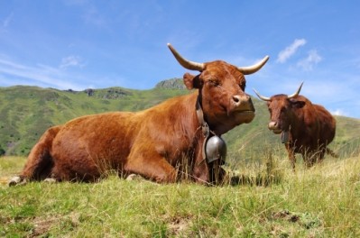 The French Ministry of Agriculture has said the case of BSE poses no risk to consumers