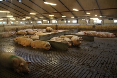 Tönnies has signed an agreement with Serbia to build five pig farms worth €5m