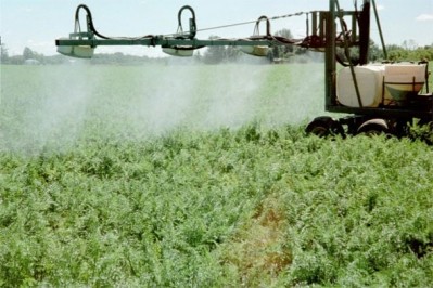 Reduced pesticide residues found in European food – EFSA
