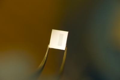 Microfluidic chip could be used in pathogen detection. Photo courtesy of Virginia Tech