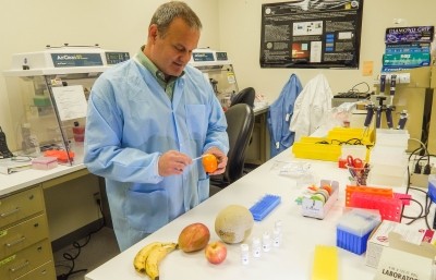 LLNL physical chemist George Farquar demonstrates how the product can be applied to food to identify it down the chain