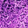 Campylobacter hits 500,000 people every year in the UK