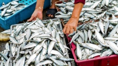 Oman looks to agriculture and fisheries as a means to import less