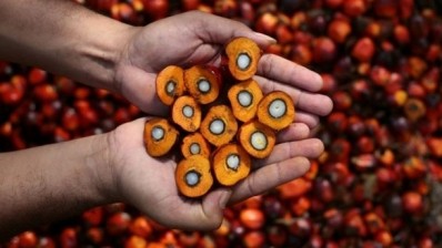 New genetic research has helped to identify a variety that could help palm oil producers increase yield.