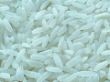 EU tightens regulations on Chinese GM rice imports