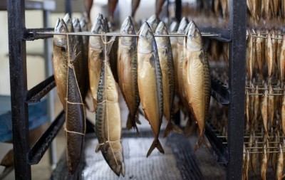 FVO audited The Netherlands control of fishery products