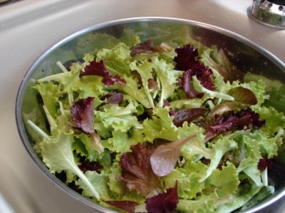 Fluctuating temperatures on microbial growth for fresh-cut leafy greens evaluated