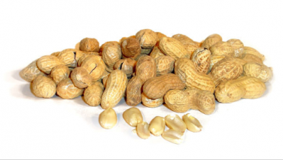 Peanut is a common allergy