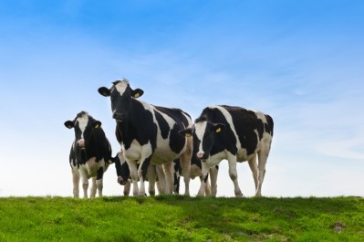 The livestock industry needs food producers, retailers and consumers to show cooperation and a willingness to pay for products produced with a reduced environmental impact, say the researchers.