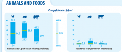 Infographic EFSA: AMR resistance for Campylobacter