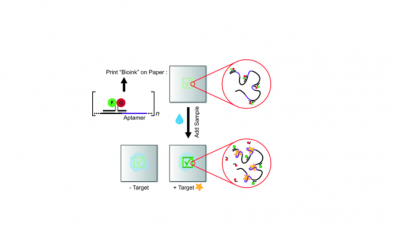Figure: Paper sensors inkjet-printed with concatemeric fluorescence-signaling aptamers