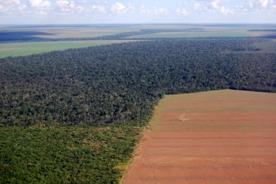 Where the Brazilian Amazon rain forest ends and a soy plantation begins.... Photo: Istock / Phototreat