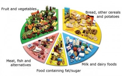 Nutritionists have defended the government's 'Eatwell Plate' 