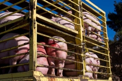 Without China, exports of EU pork would have fallen by -8%