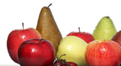 Borton Fruit is a grower, packer and shipper of apples, pears and cherries